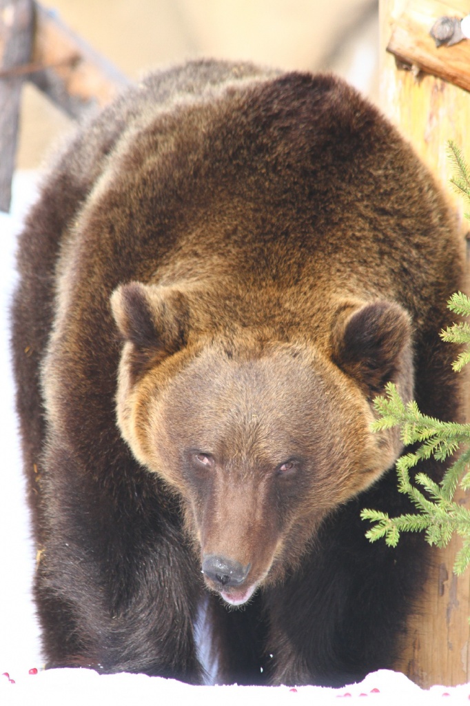 ������� ��������CAMC5940.jpg